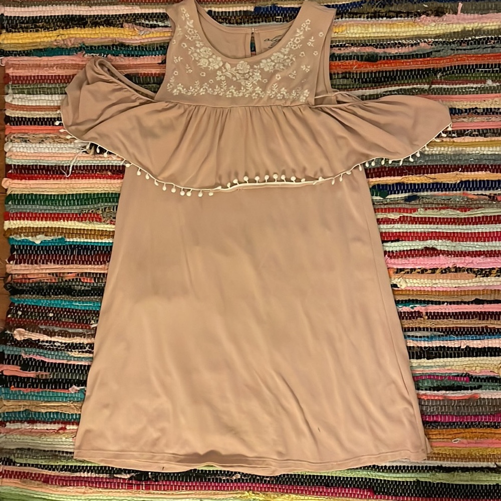 Blush embroidered dress